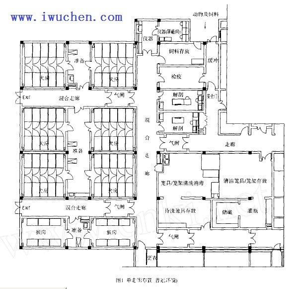 spf動(dòng)物房工程布置圖